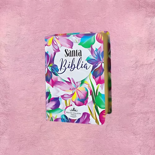 BIBLIA DE BOLSILLO 1