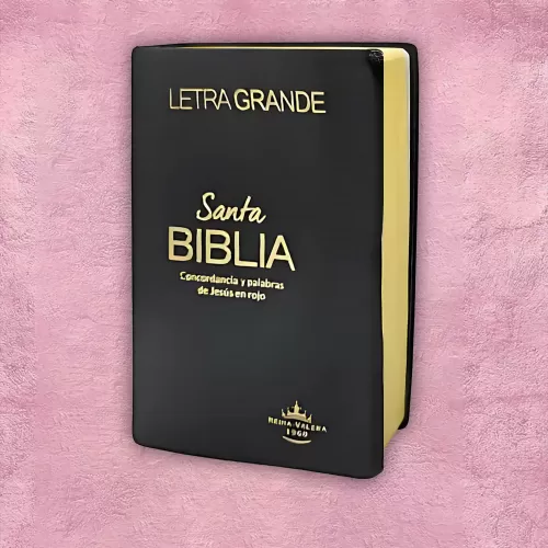 Biblia - Negra c/ tapa flexible
