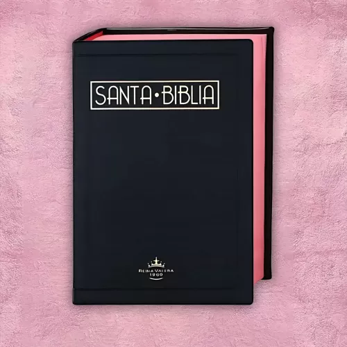 Biblia - Negra de filo rosado