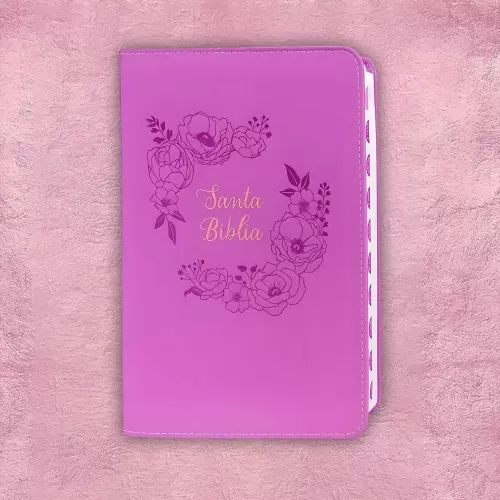 Biblia Holman Fuccia