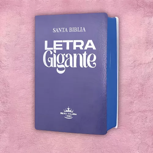 Biblia letra gigante - Violeta