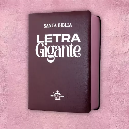 Biblia letra gigante - Guinda 