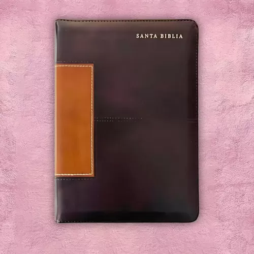 Biblia letra Gigante - Holman Marrón